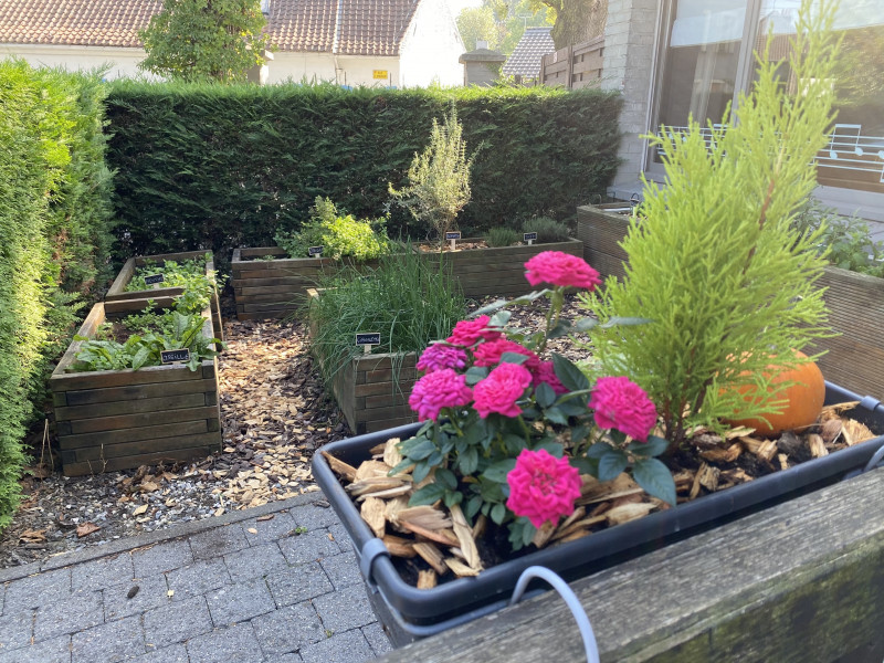 2020-09-22-herboretum-modif-11752
